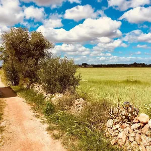 Arthouse Campos Mit Haus Galeria 110qm Und Appartementhaus Mit Patio 30qm Сasa de vacaciones Campos (Mallorca)